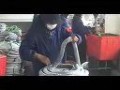 林木规范网袋容器育苗技术 (450播放)