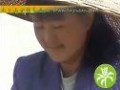 金银花栽培管理加工 (1190播放)