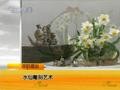 水仙雕刻艺术 (574播放)