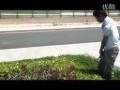 园林植物养护-绿篱整修修剪 (444播放)