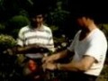 月季嫁接1 (1557播放)