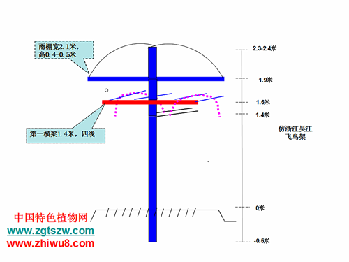 浙江吴江