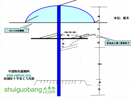 单十字省工飞鸟架